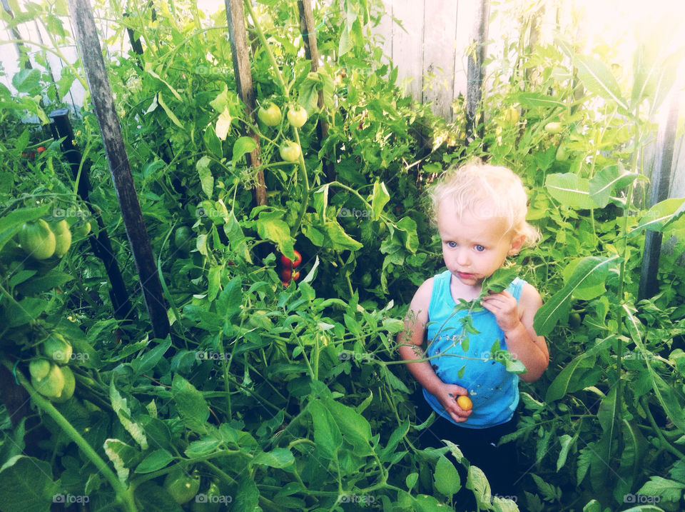 Little Boy Standing in Garden