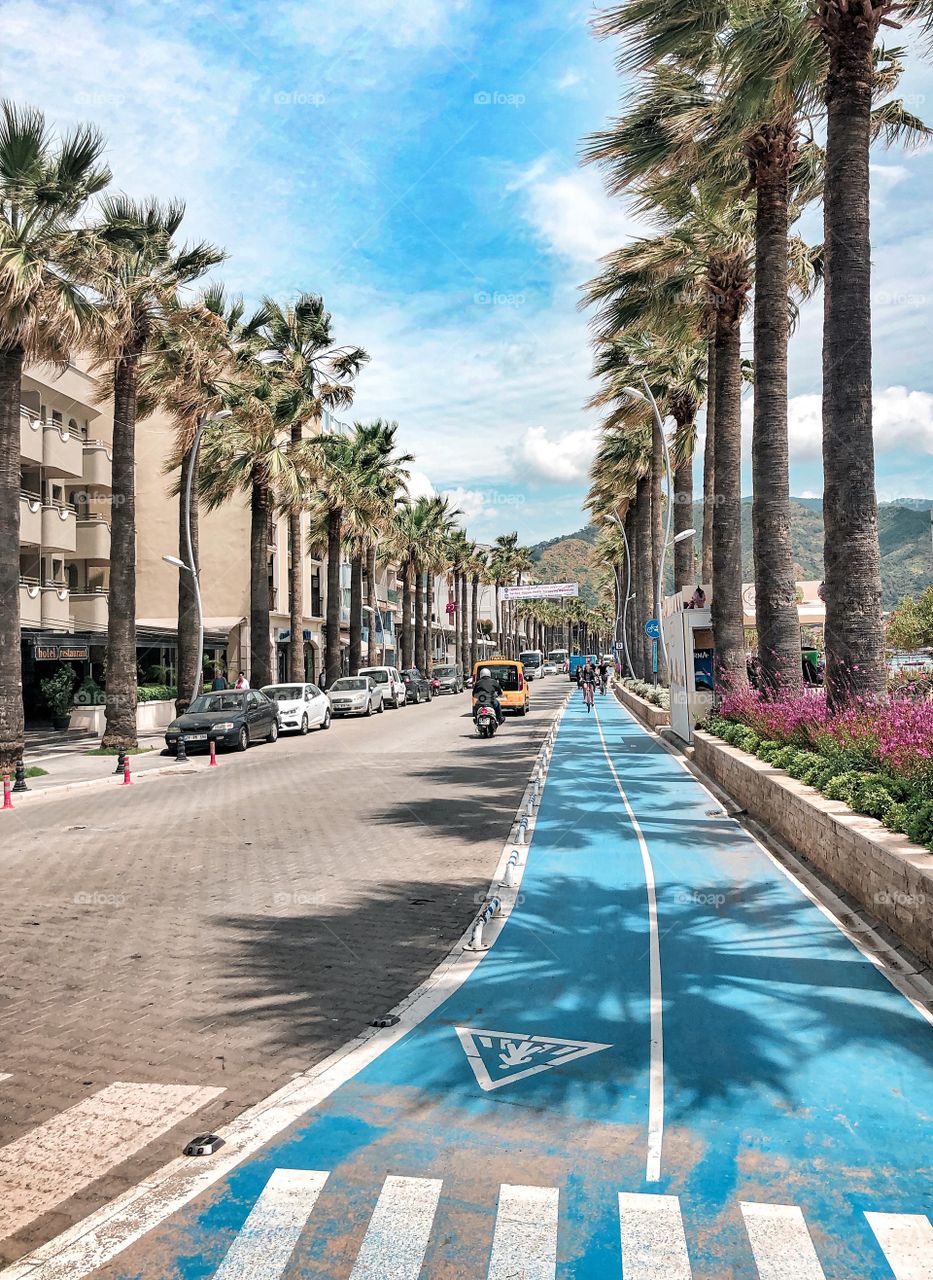 Road and blue bike path in the city with palm trees