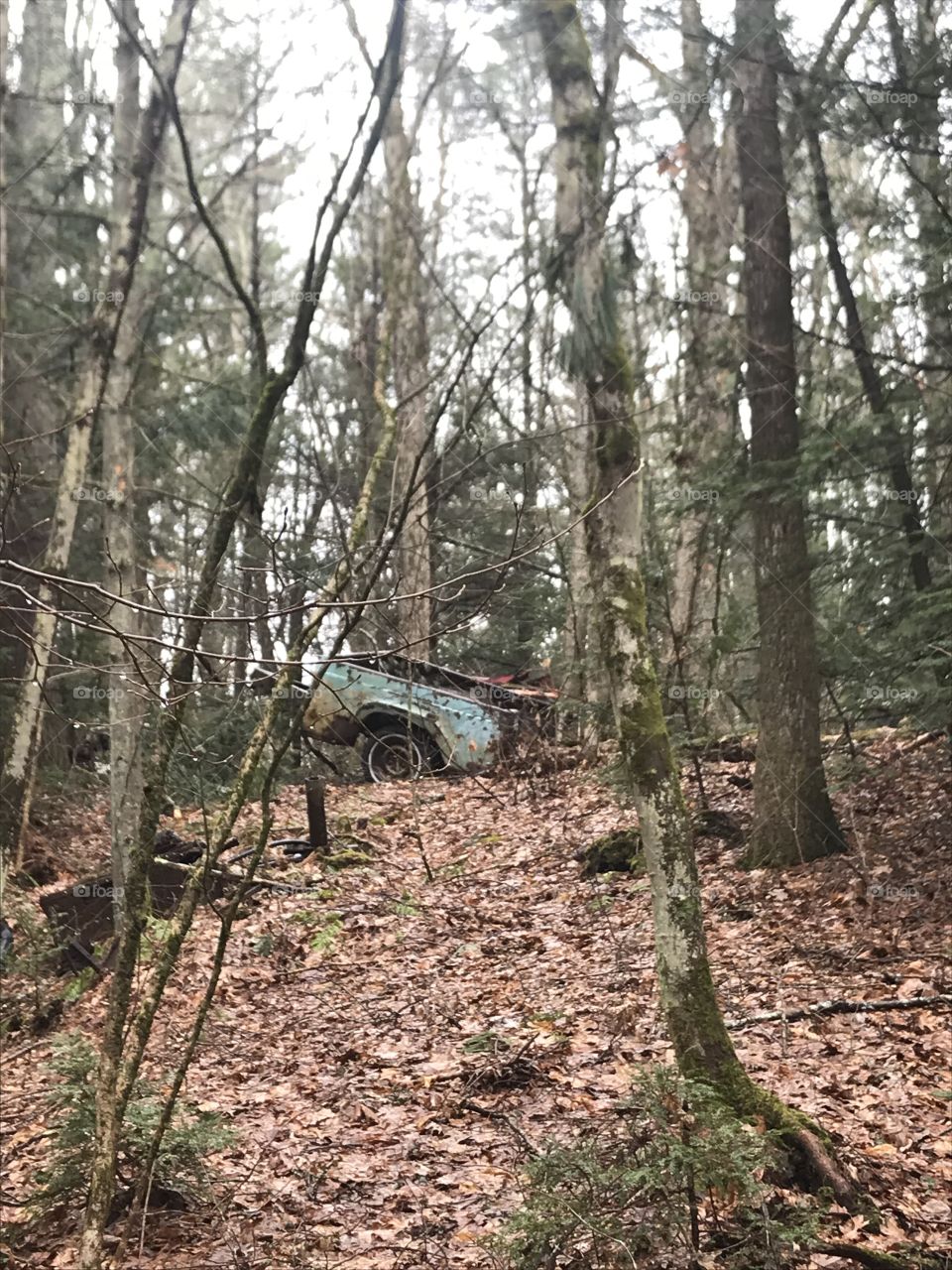 Old Truck Abandoned