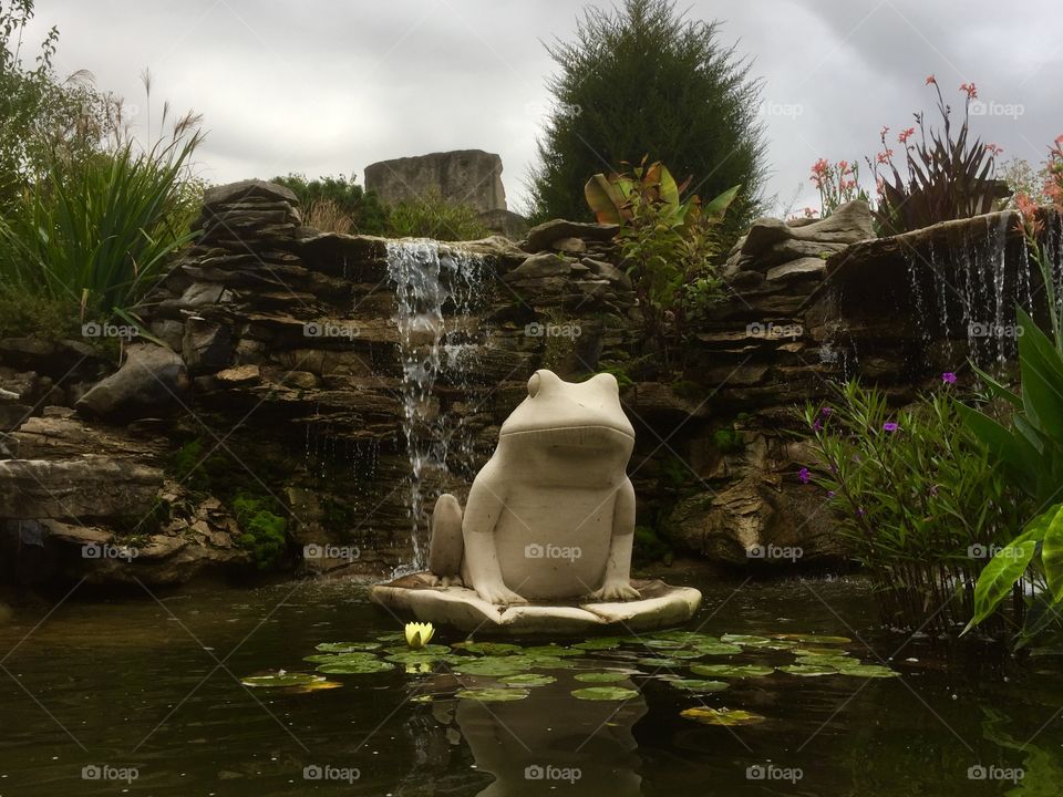 Frog statue 