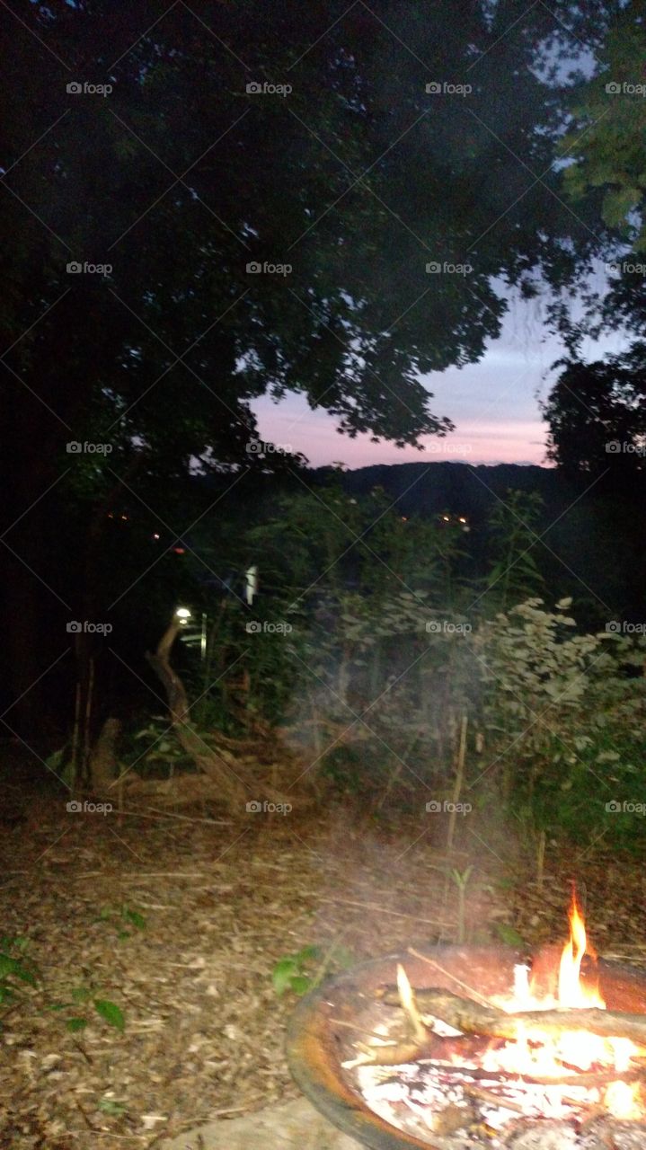 sunset through the trees