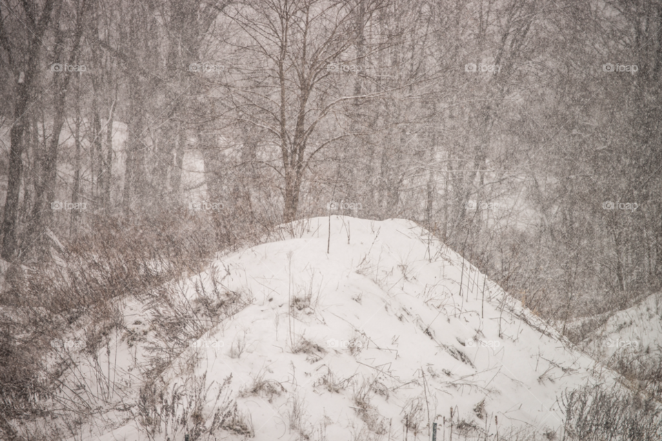 snow trees hill storm by delvec