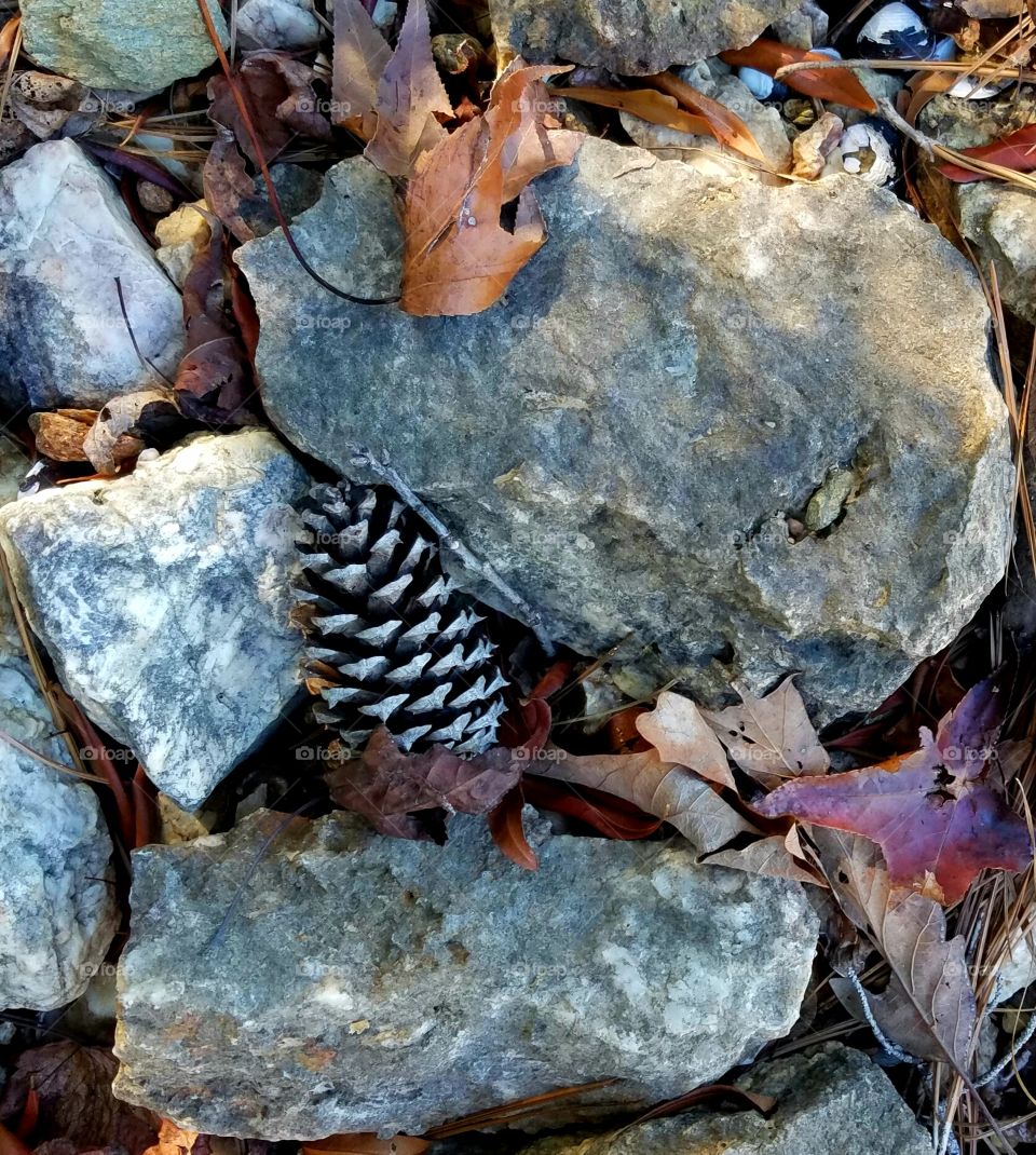 rocks and pinecone.  or is it a rock man hugging a pine cone?