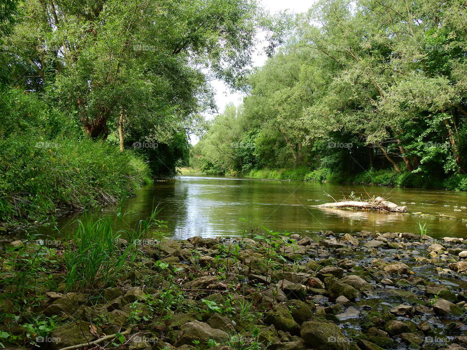 River "Mała Panew" in Turawa. Poland