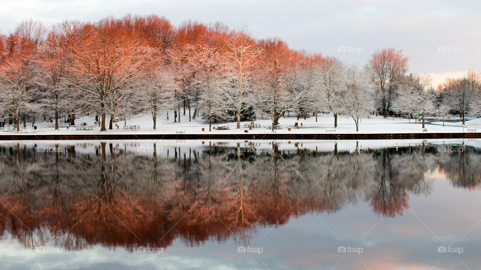 Winter Wonderland after the first snow