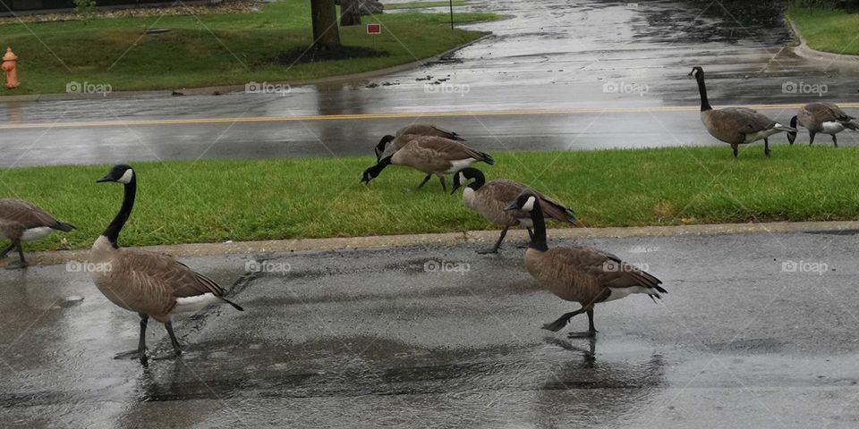 Running in Raining