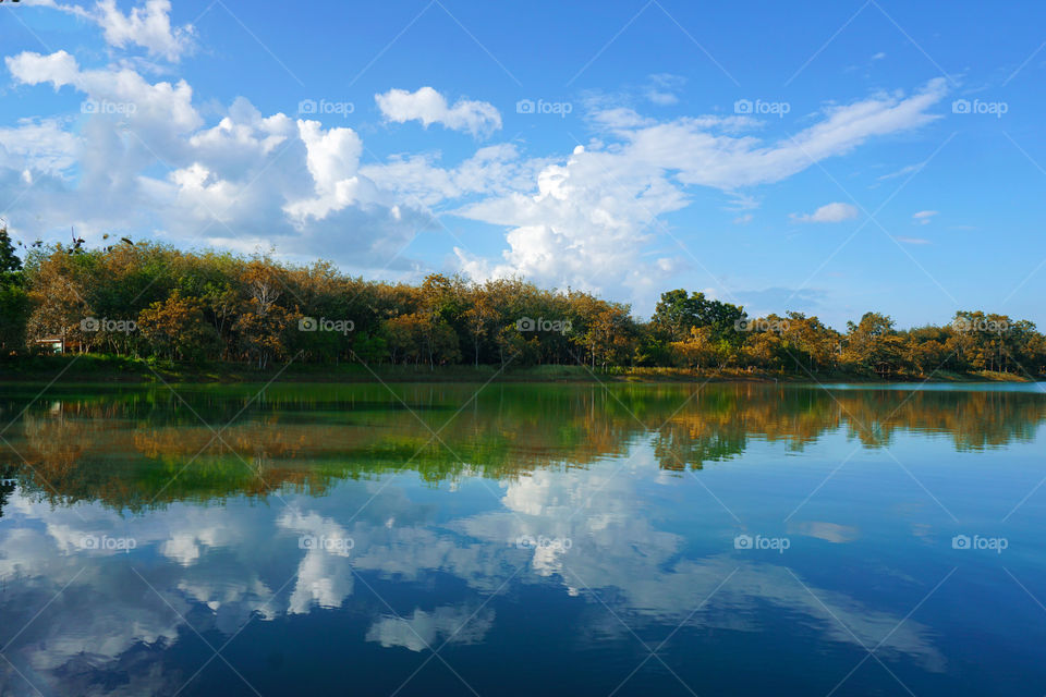 Reflection of clouds and trees on idyllic lake