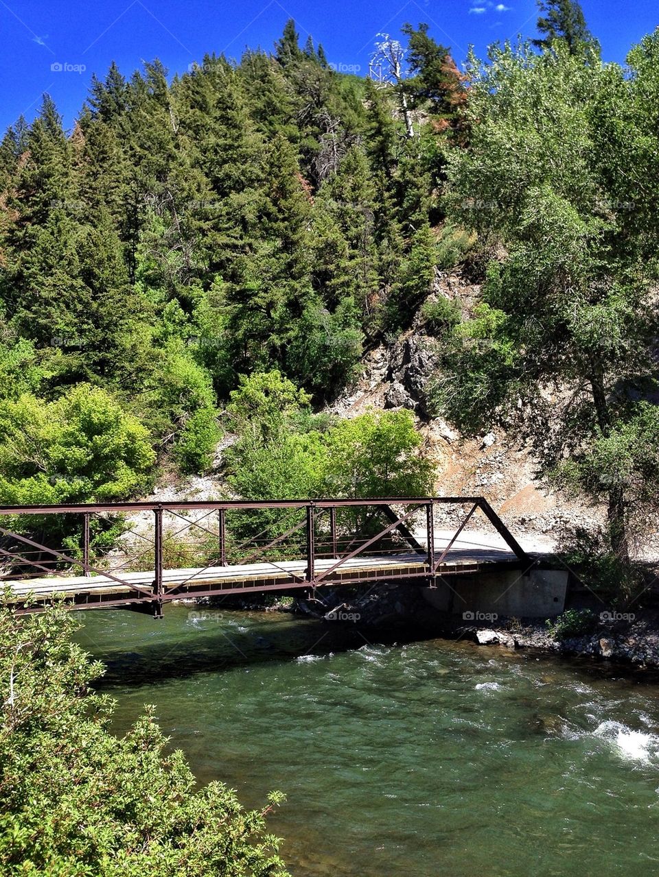 A bridge over the river