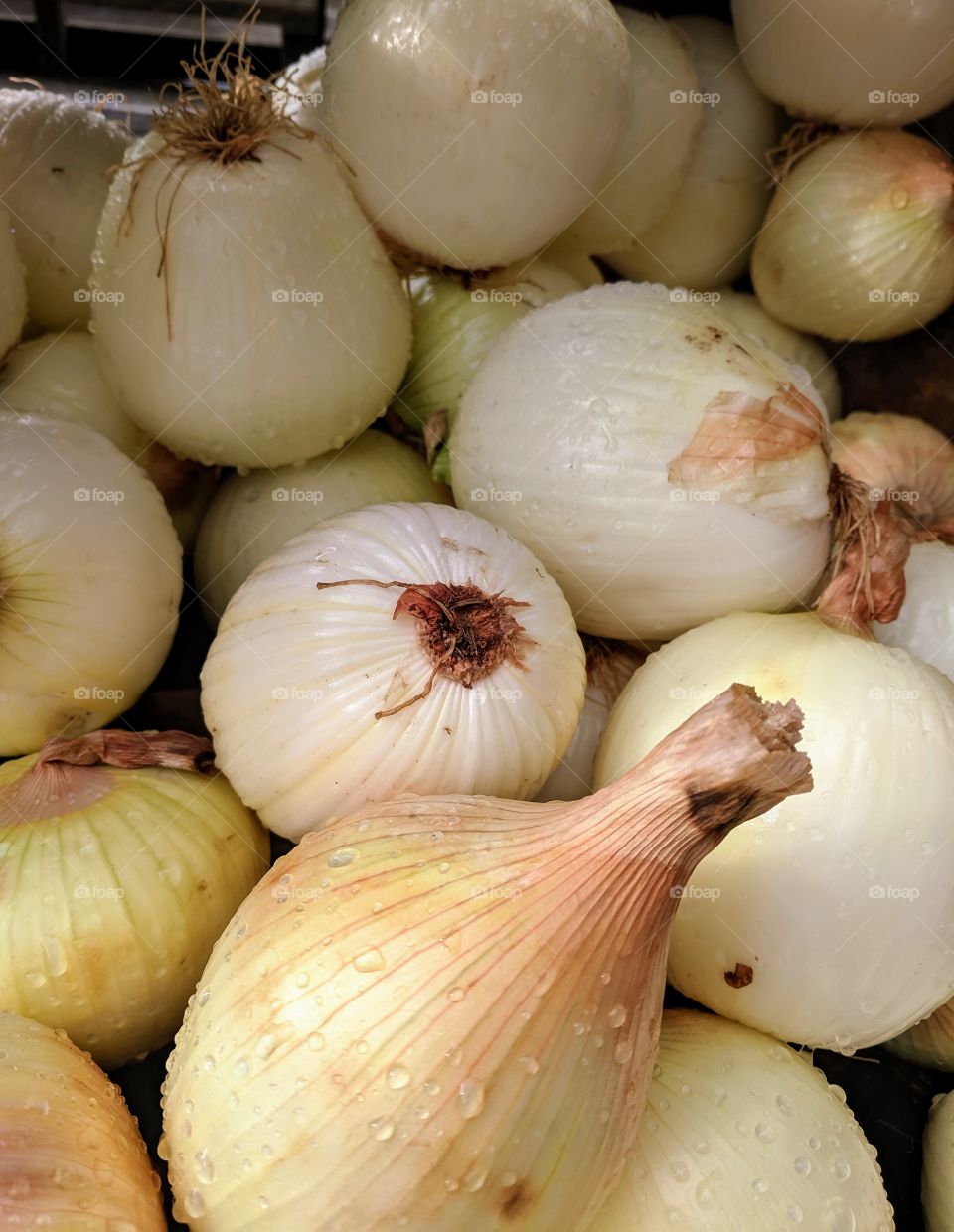 onions