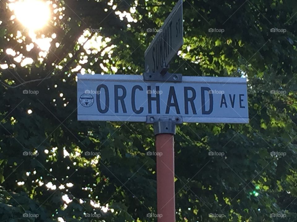 ORCHARD AVE 