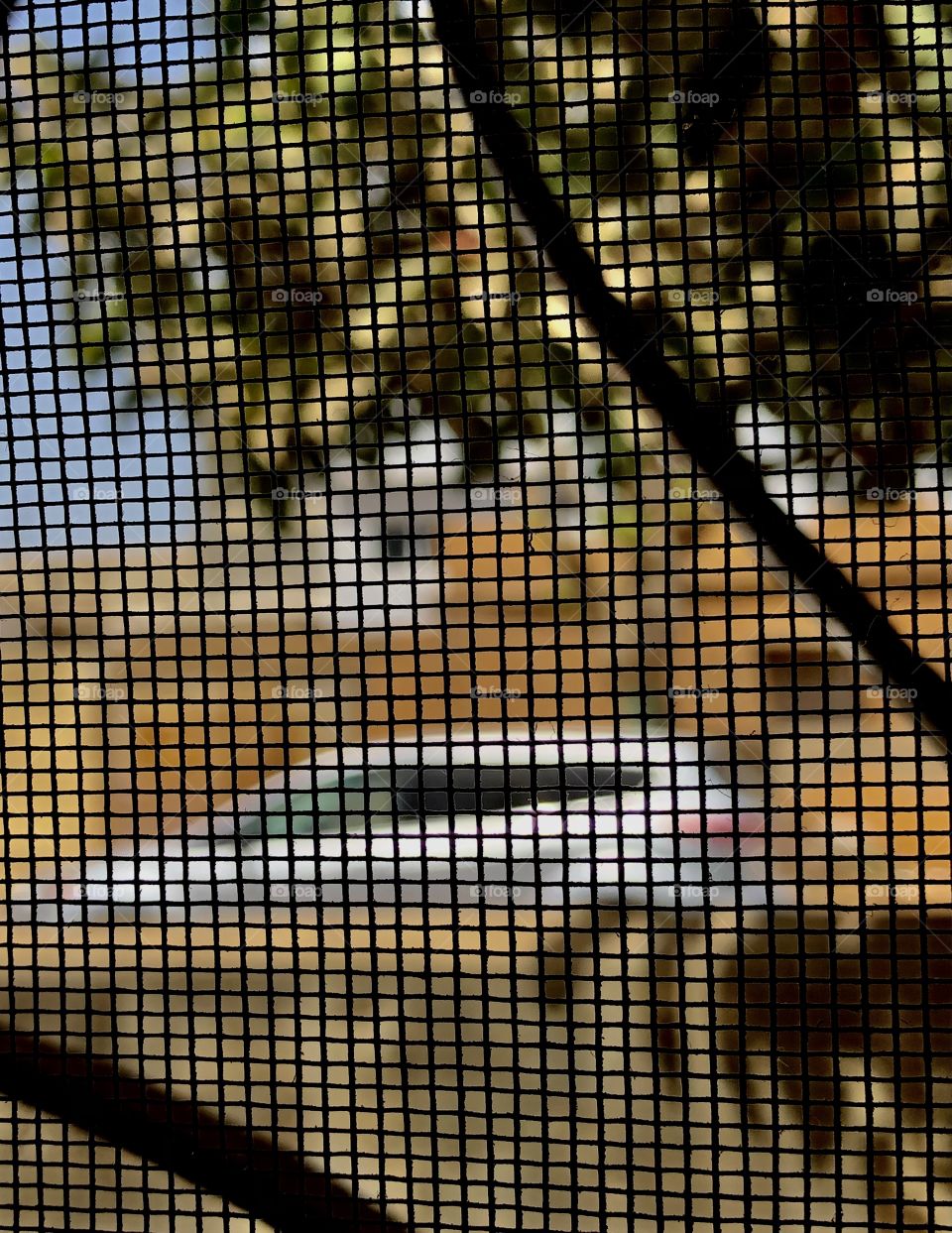 Outwidow view  you see ?