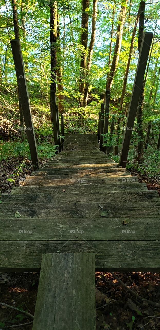 stairway to nature