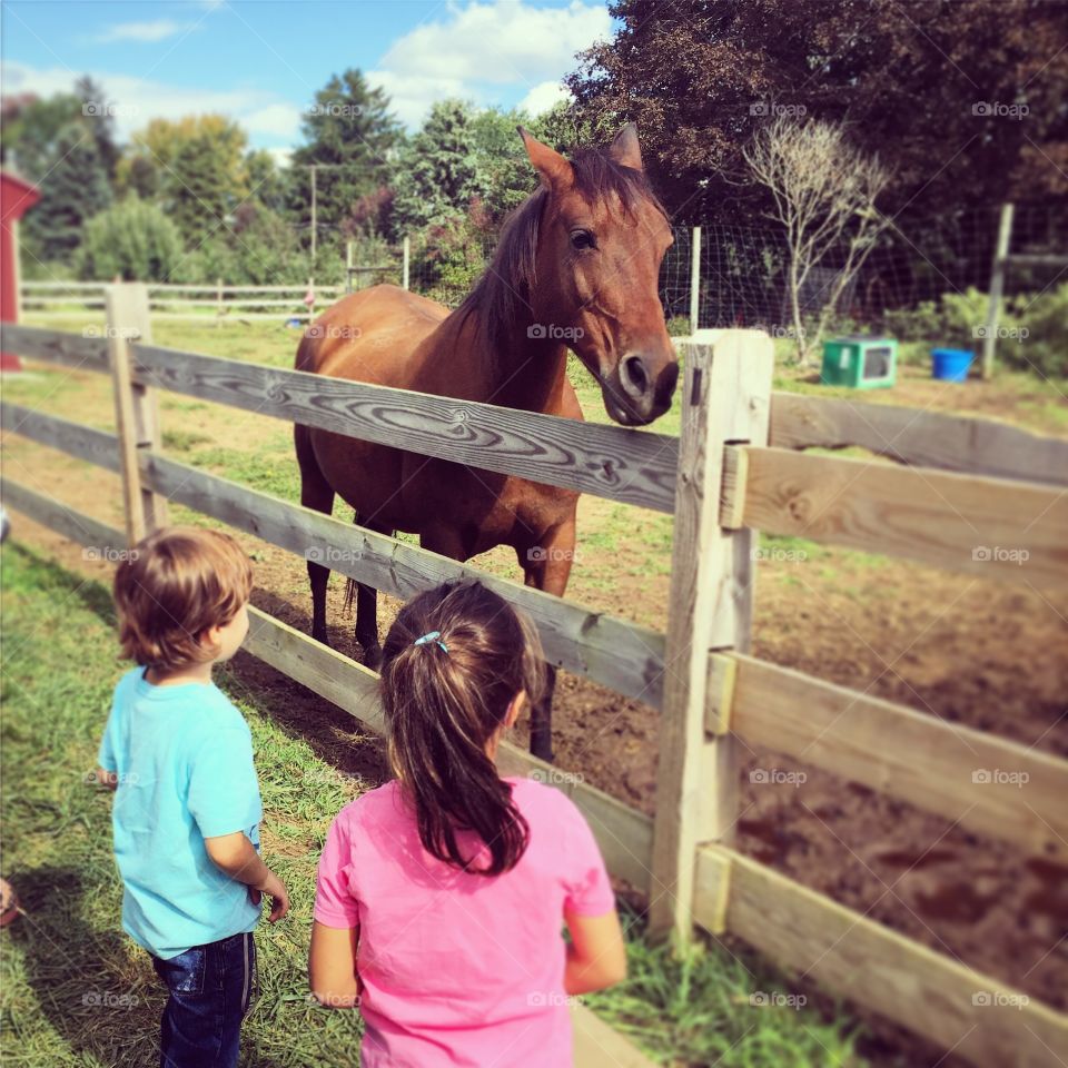 Childrens with horse by fence