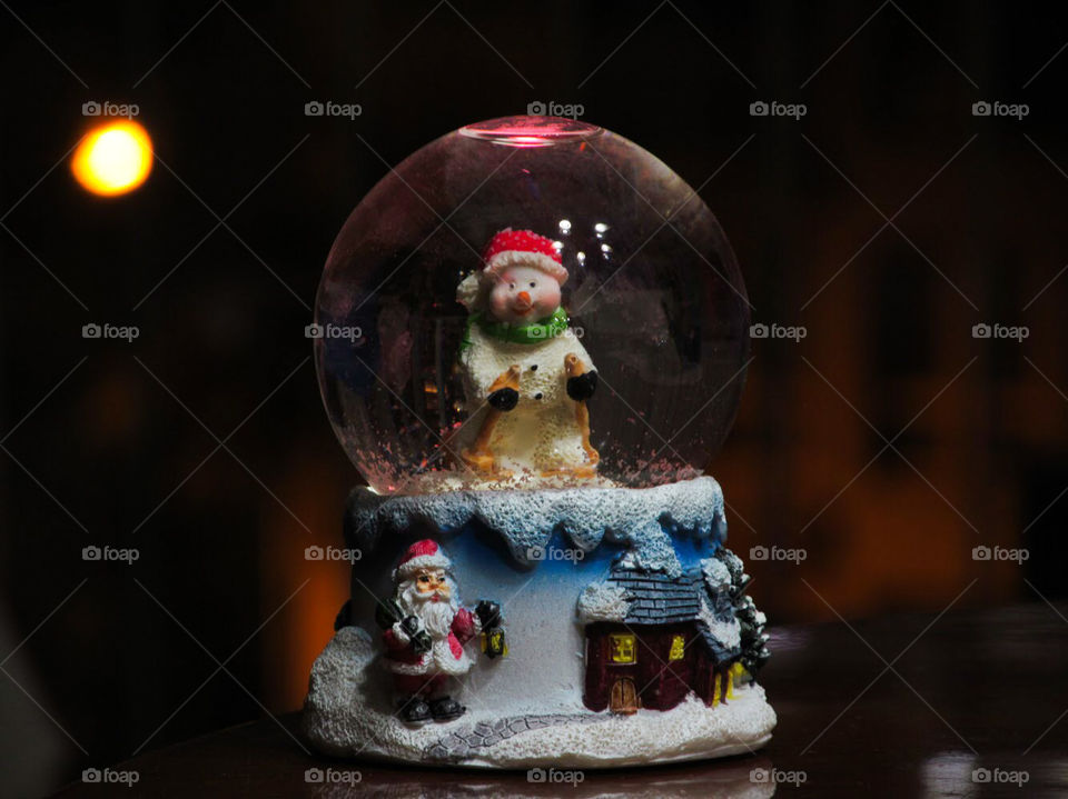 The Snow Globe