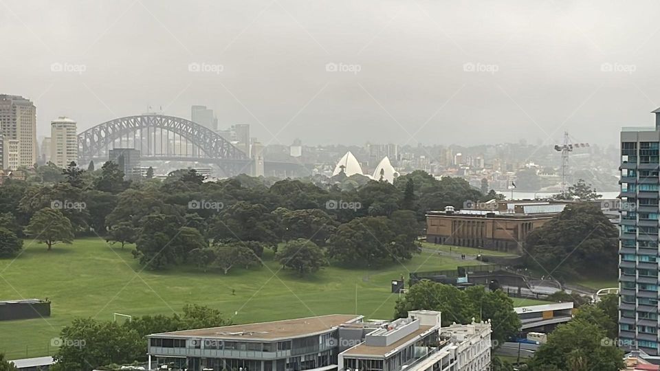 Bridge view