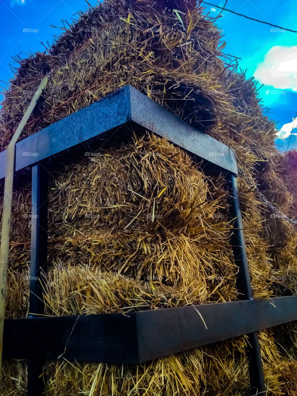 A country farmer's wagon full of dried hay and straw that will be stored in order to feed animals during the winter. 