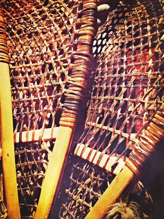 Snow Shoes