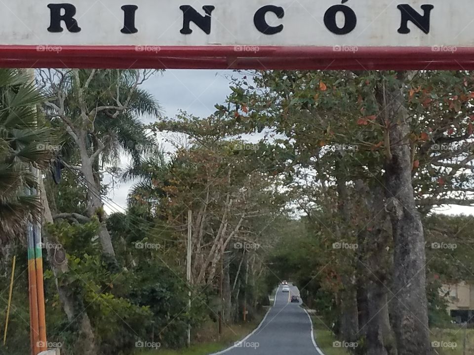 the city of rincón archway with a quaint one lane forested roadway leading off into the distance