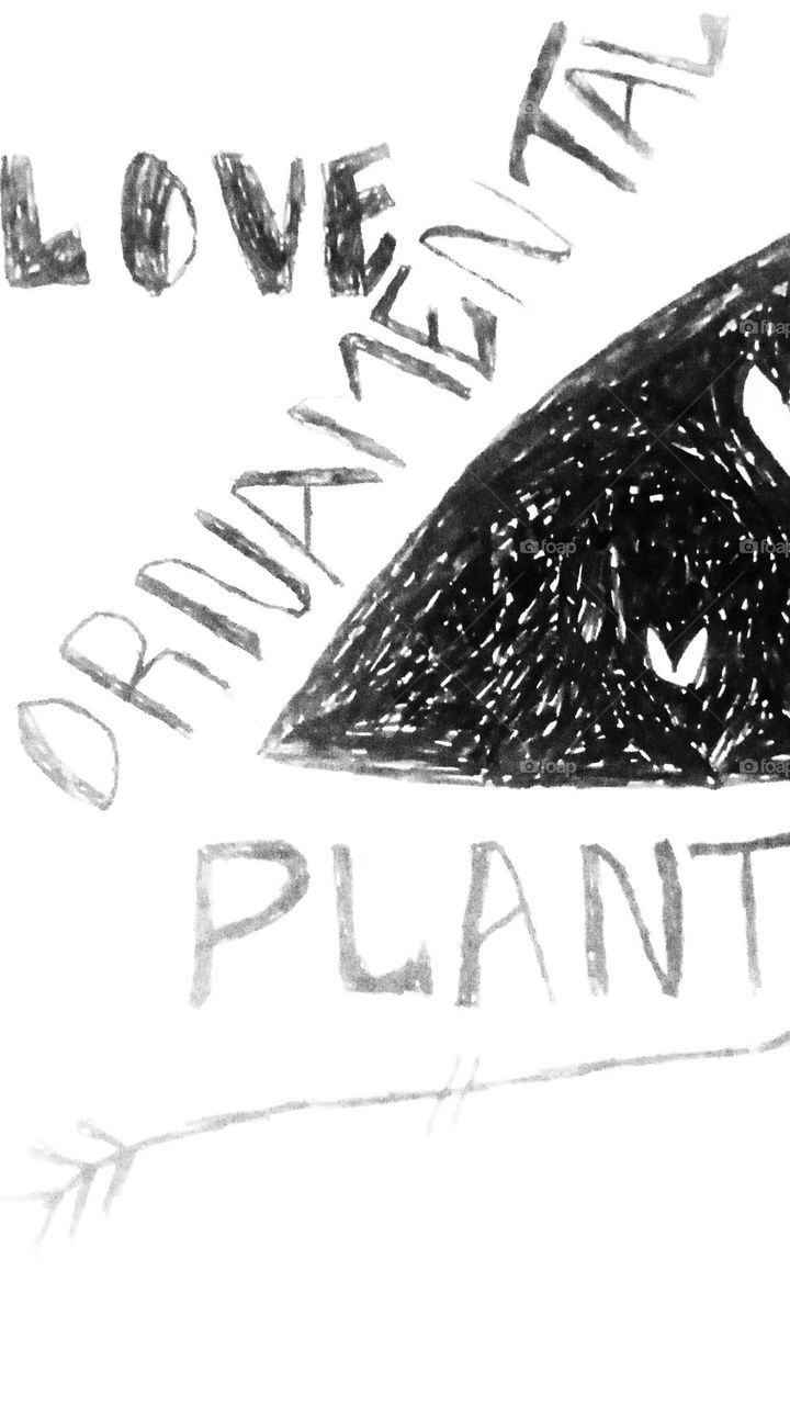 love ornamental plants