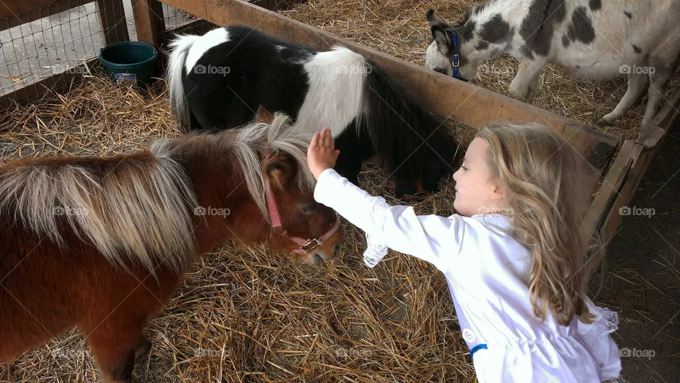 Ponies