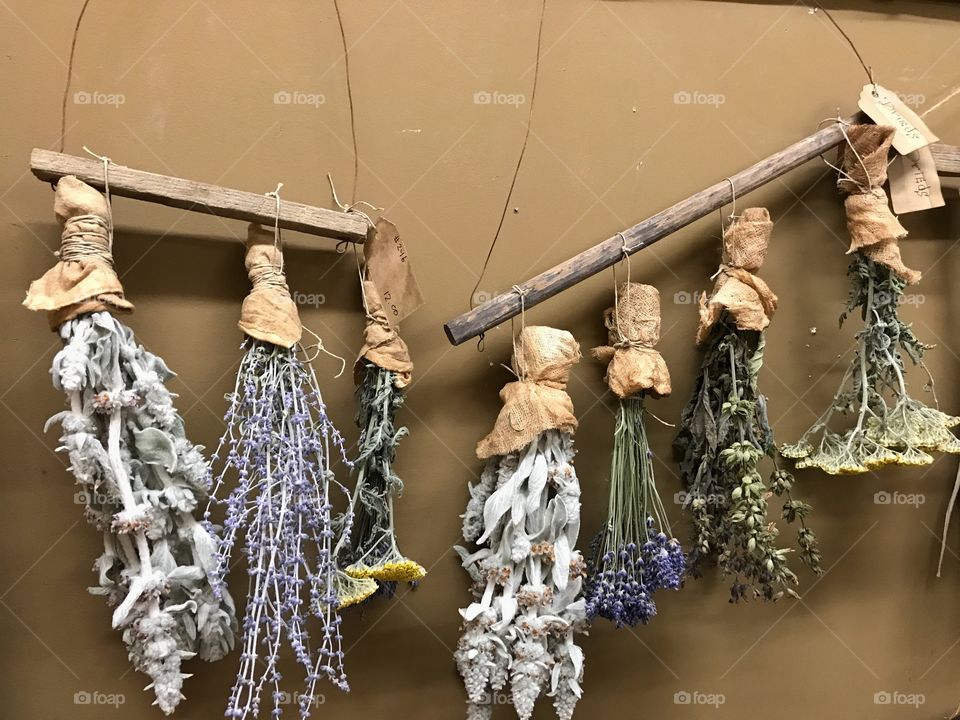 Dried herbs lavender sage hanging on a wall 