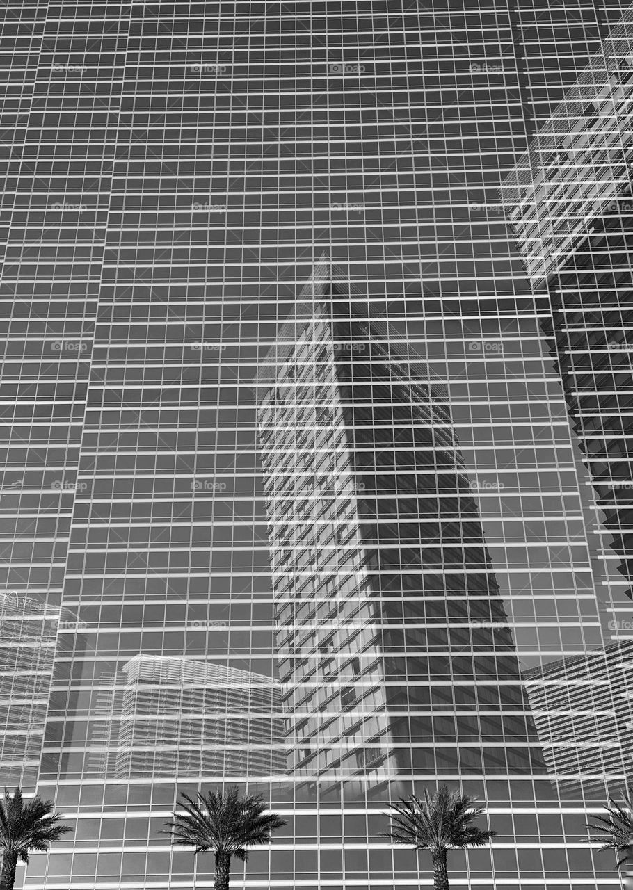 Palm trees in front of a glass tower with other high-rise buildings reflected in the glass front 