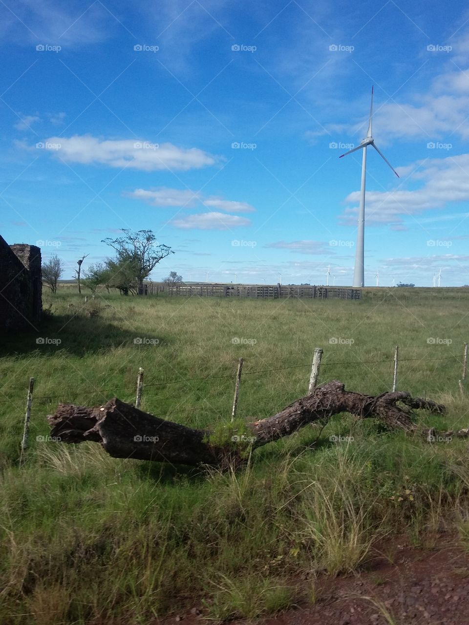 Windmill, Landscape, No Person, Farm, Wind