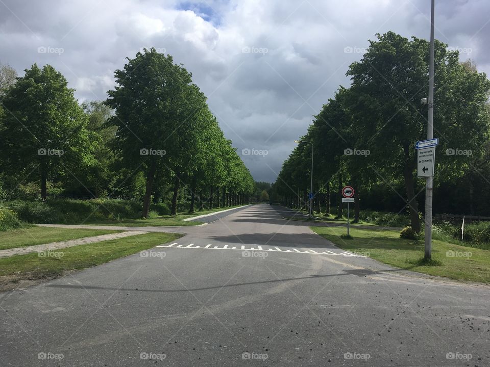 The road to cemetery Netherlands
