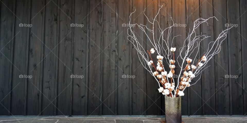 cotton flower on wood background