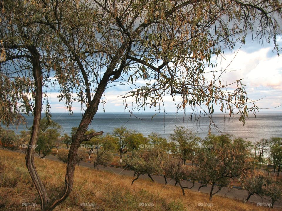 landscape nature clouds sea trees пейзаж природа облака море деревья