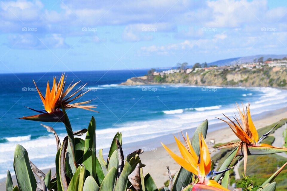 Laguna Niguel Coastline