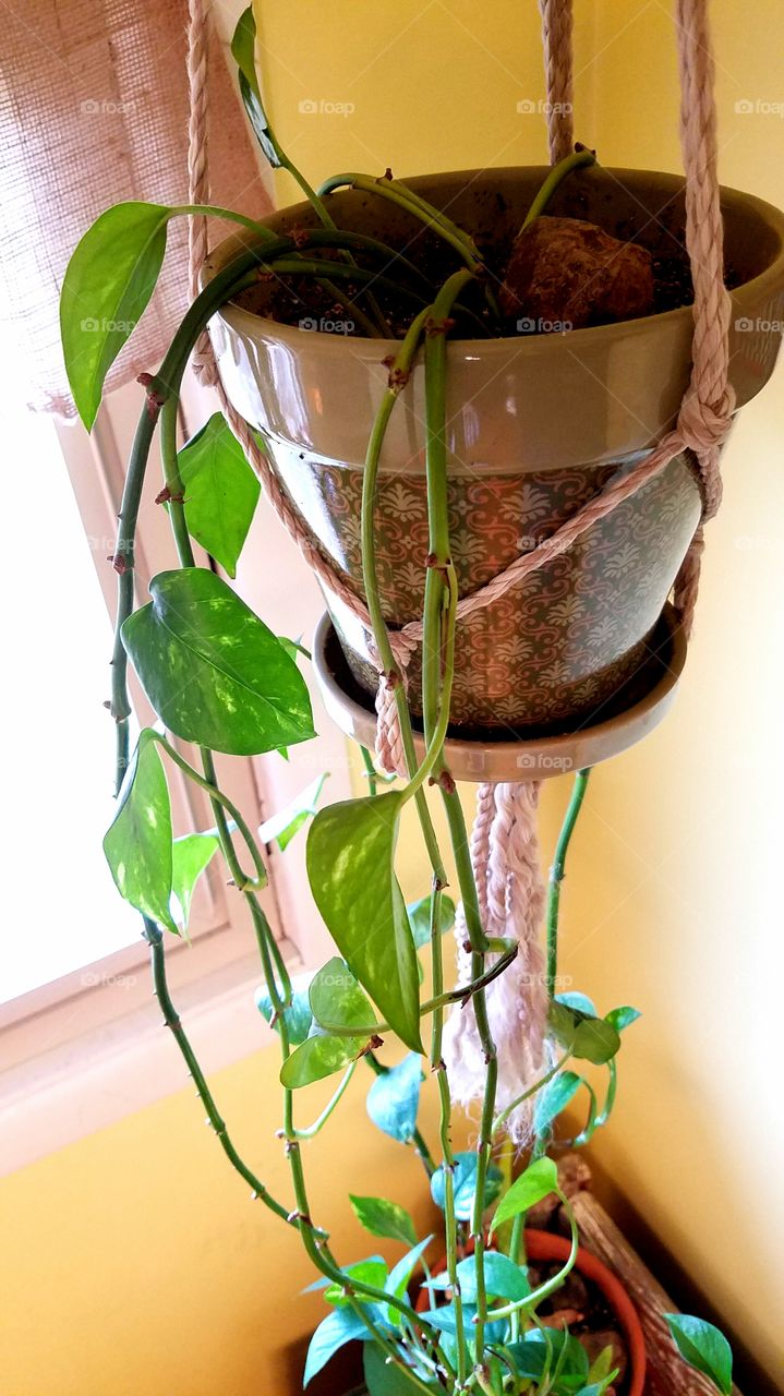 Enjoying the Sunlight