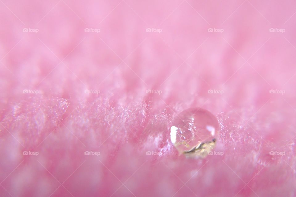 water drop on pink wool