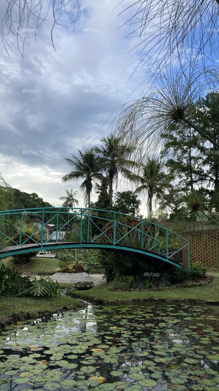Garden - Jardim do Anahata 