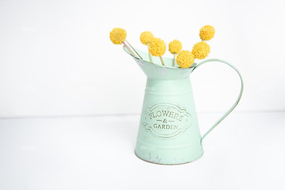 Clean minimalist image of a rustic water pitcher vase holding craspedia flowers 