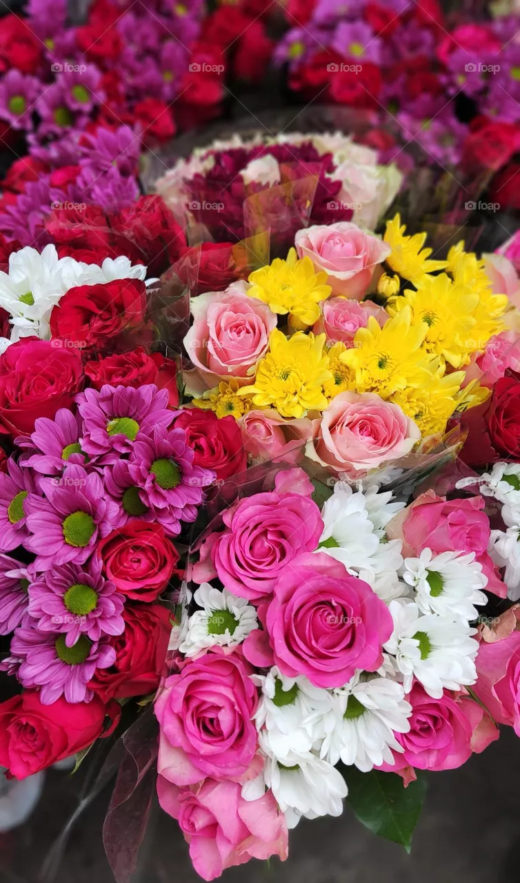Flowers