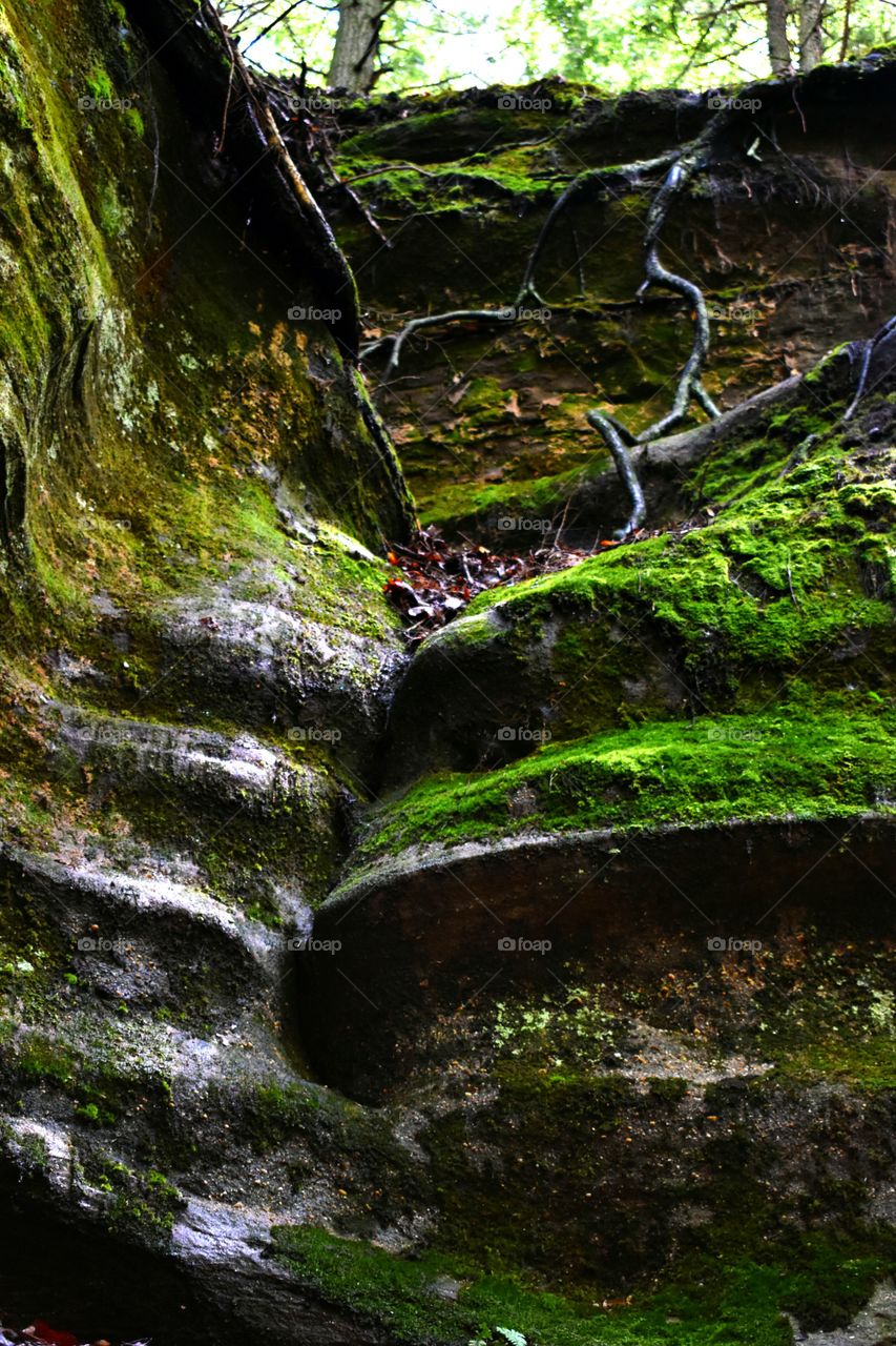 Hocking Hills Ohio State Park rocks Moss stone