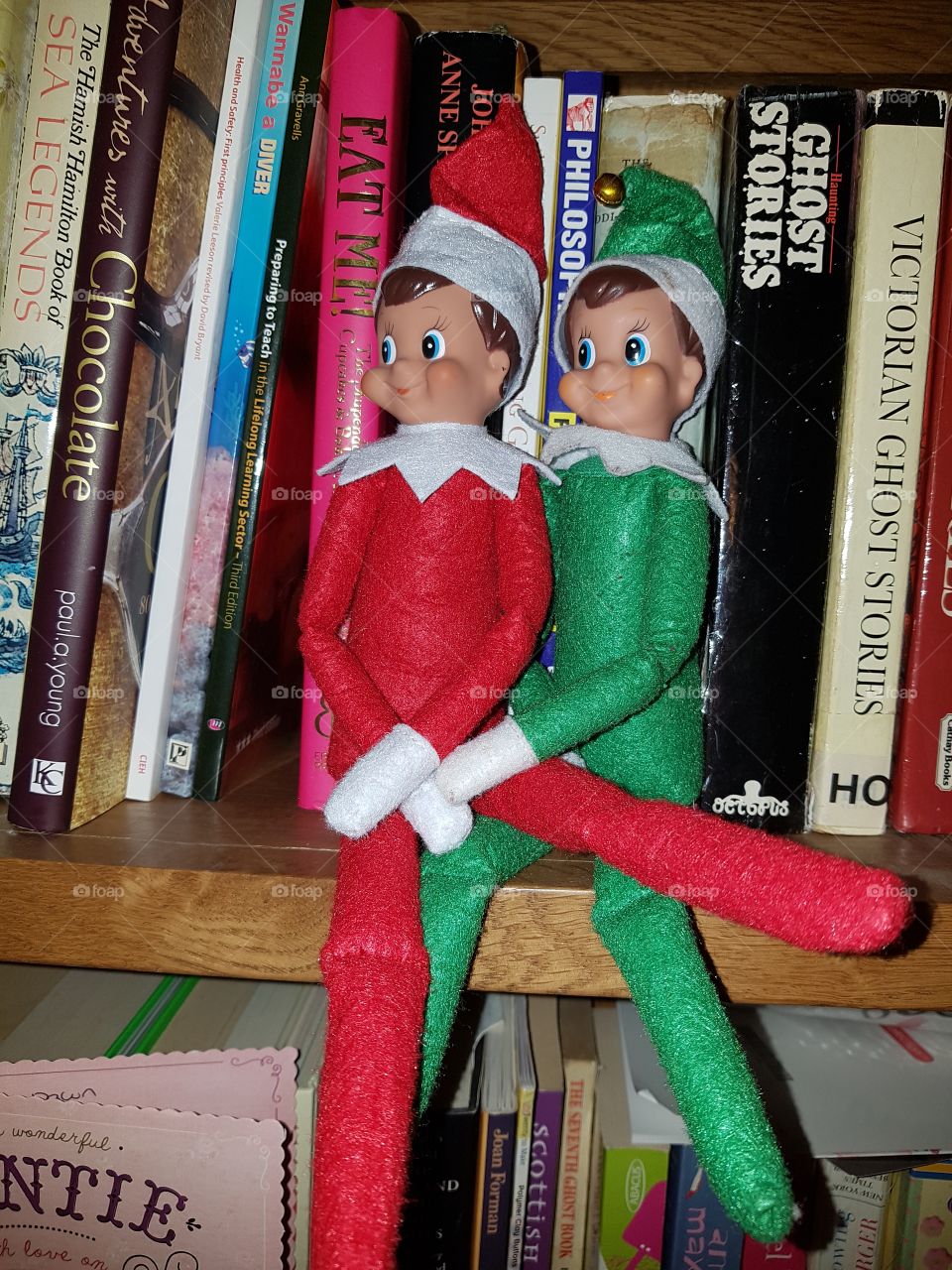 2 naughty elves on their shelf