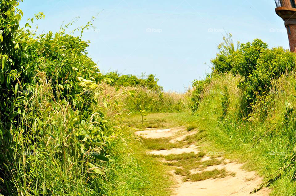 Martha's Vineyard. path to lighthouse on Martha's Vineyard