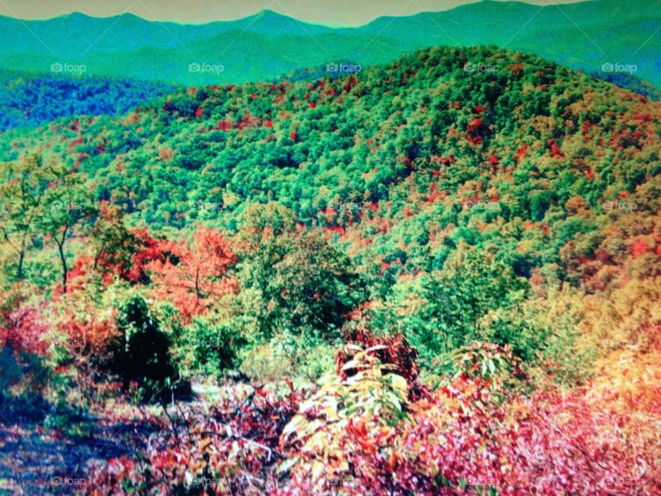 Mountains with fall colors