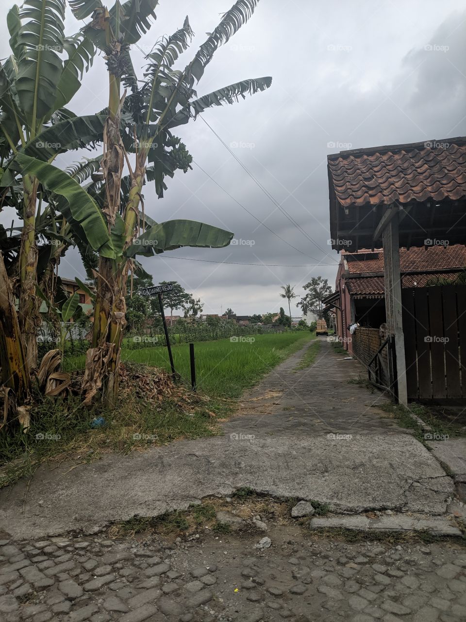small road in the village