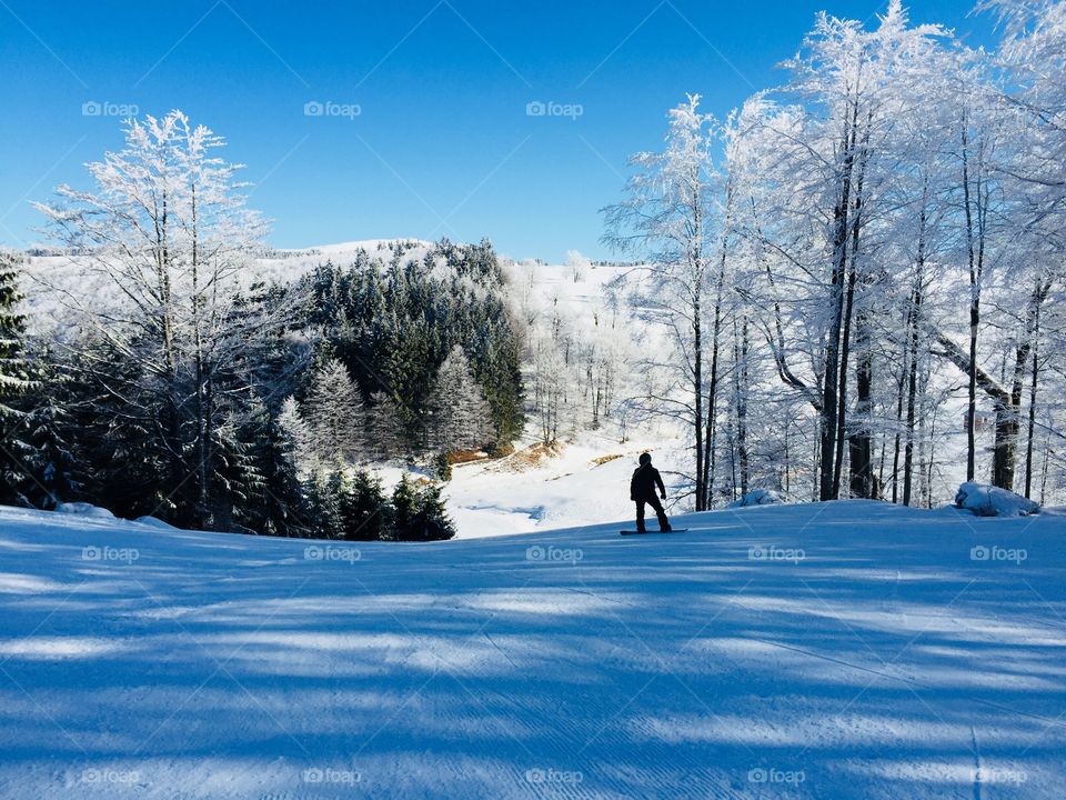 Man with snowboard going down the slope surrounded by trees covered in snow 
