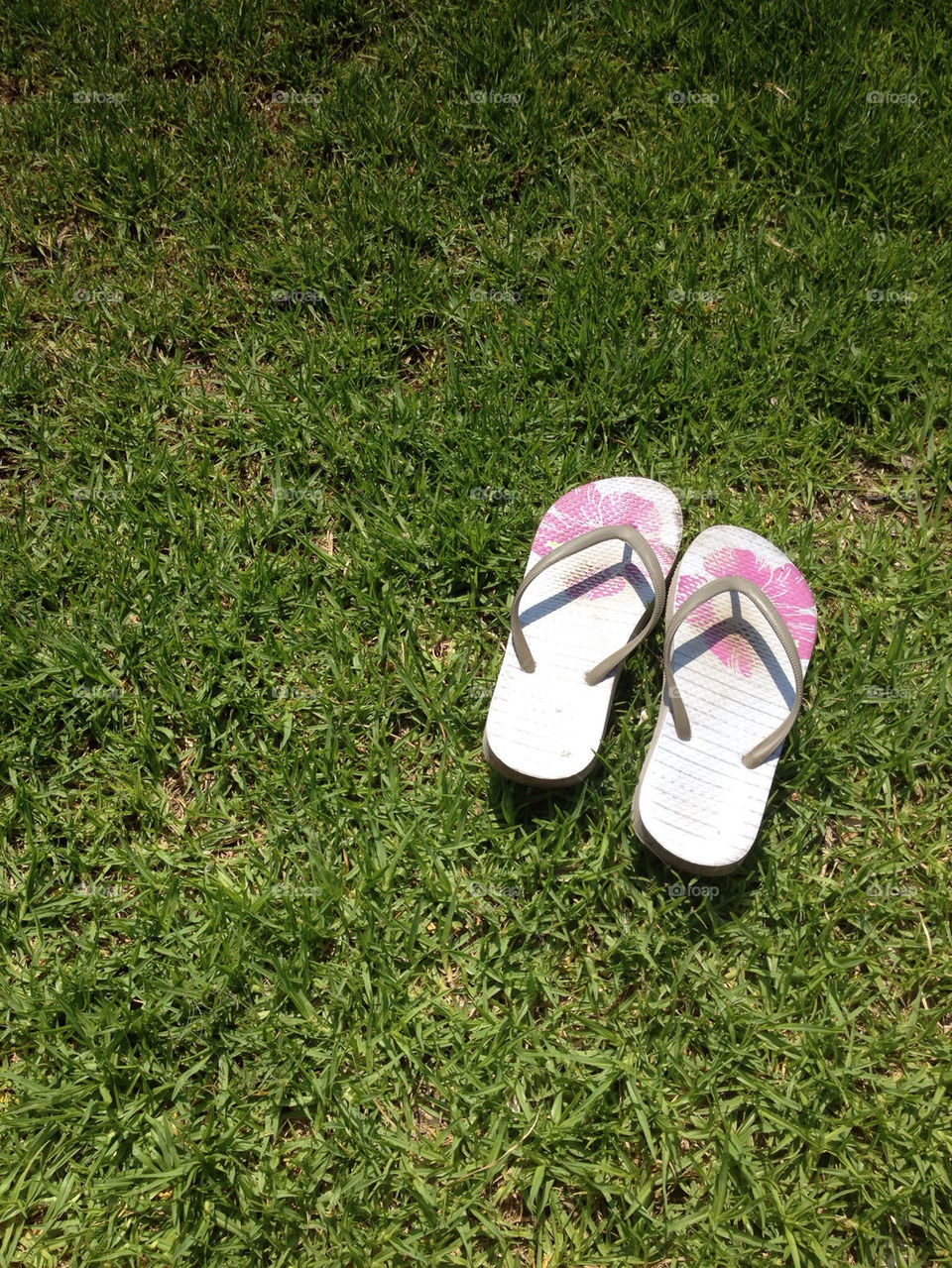 spring grass summer time by msp80