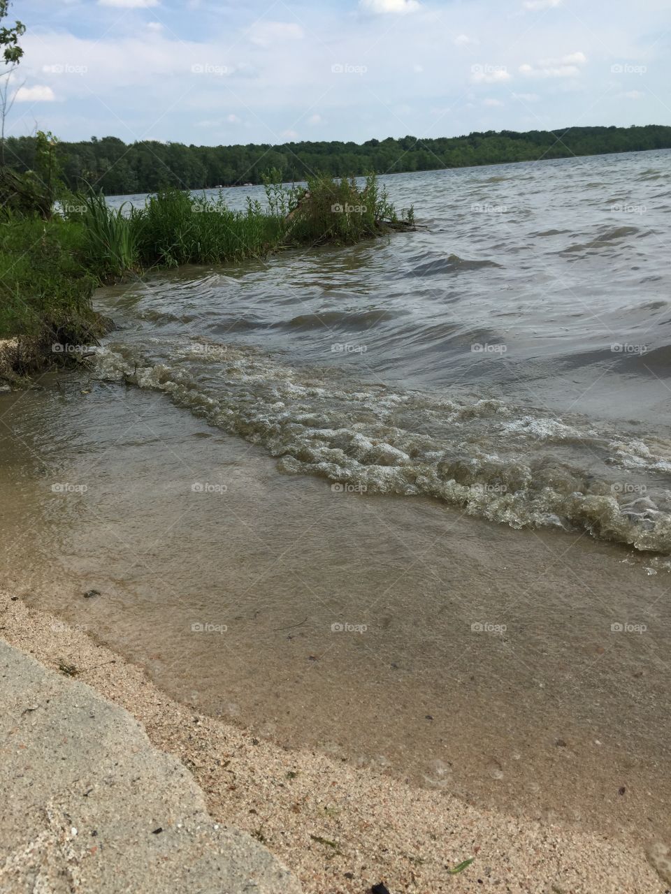 Beach and lake waves 

