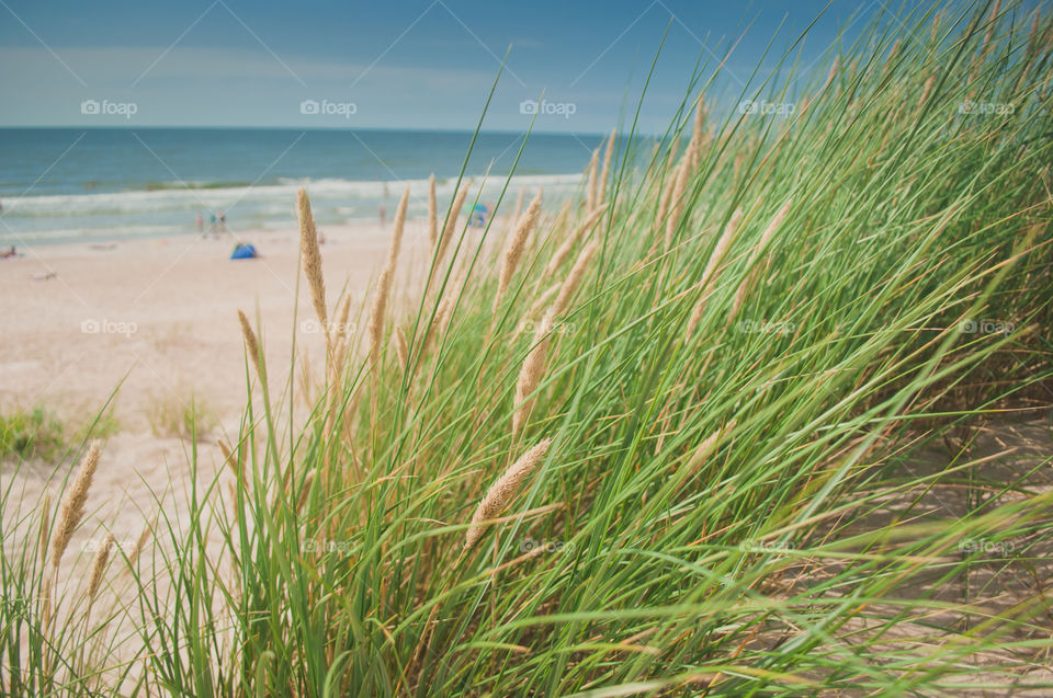 Beach in Palanga 