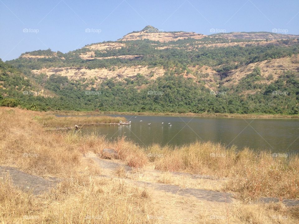 Lake between the Hills