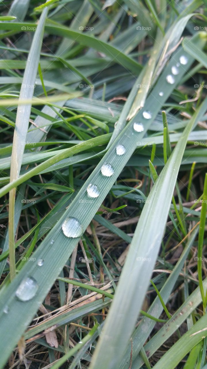 water droplets in a row