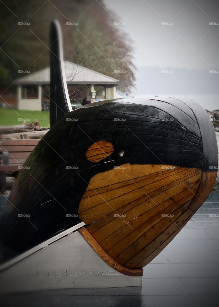Rain falls on the orca art installation at Owen Beach, Tacoma, Washington during a wintry, wet day 