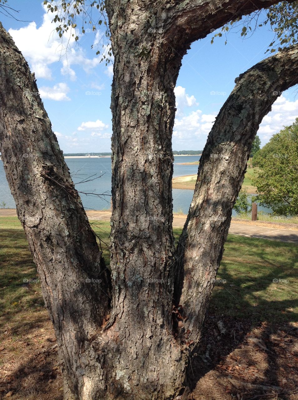 View through triplets 