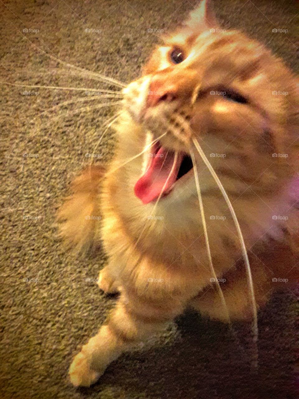 Can you hear me now?